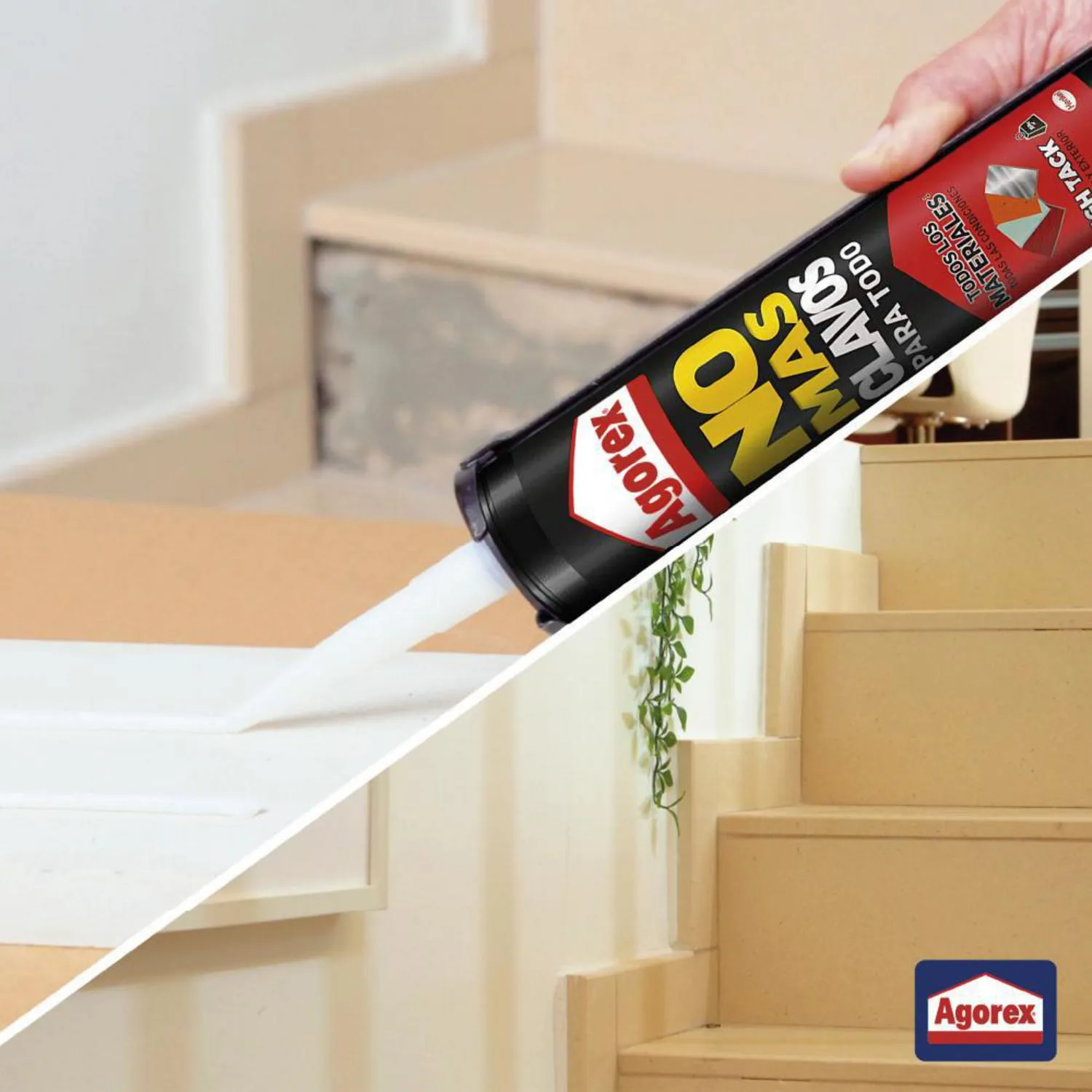 w=1500,h=1500,fit=pad (3)