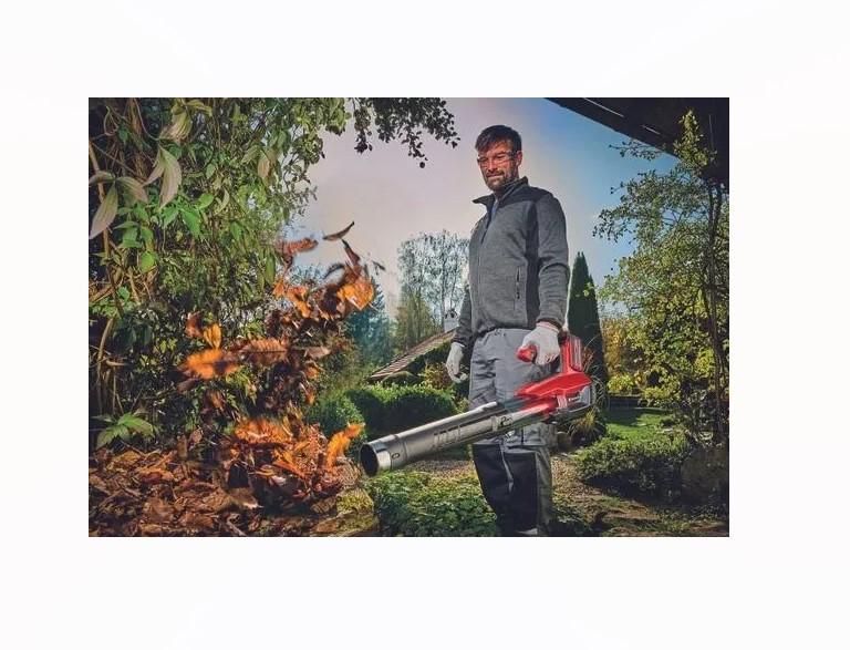 Captura de pantalla 2024-06-17 181855