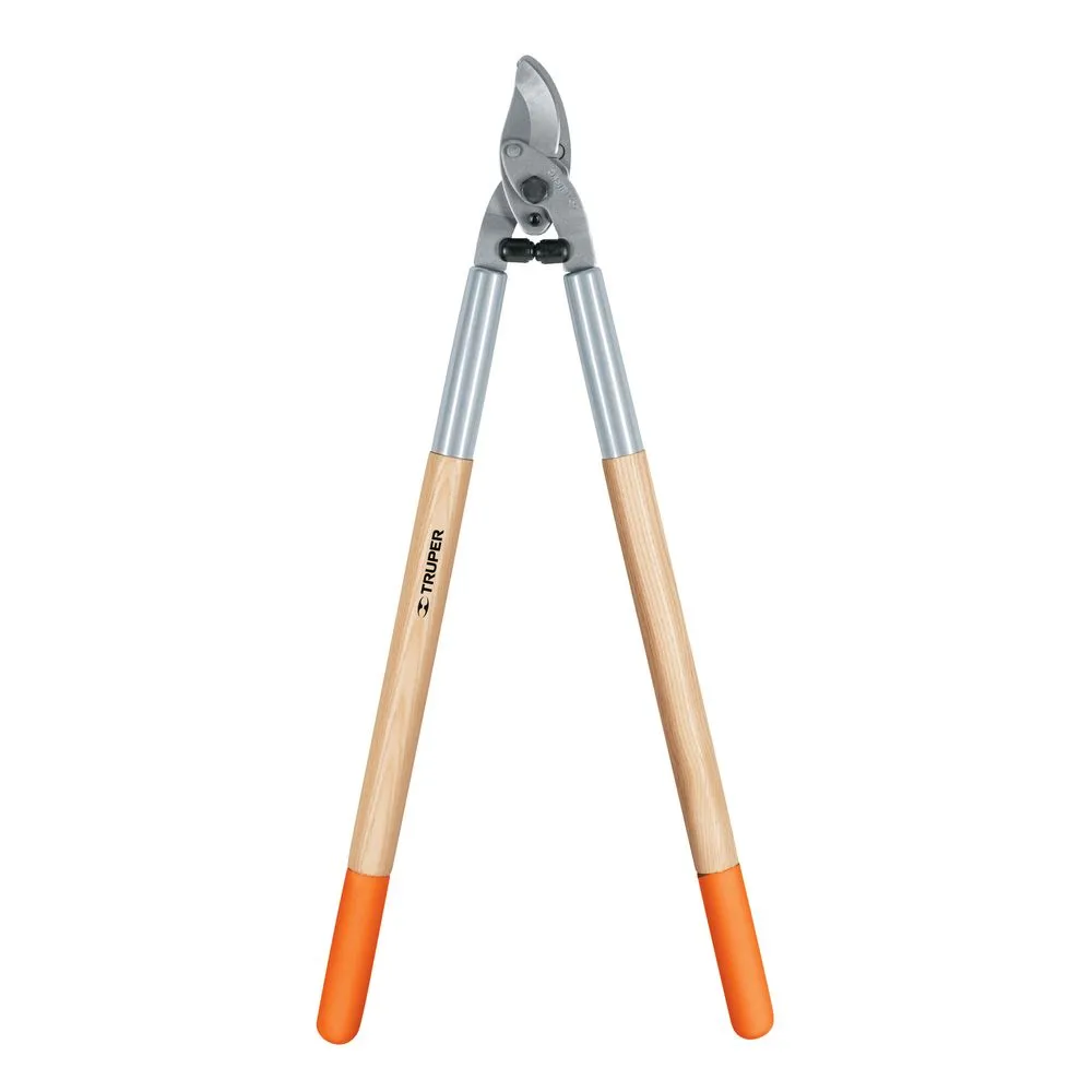 image-4553230f6d854fe59f8bf3c2ac108db1